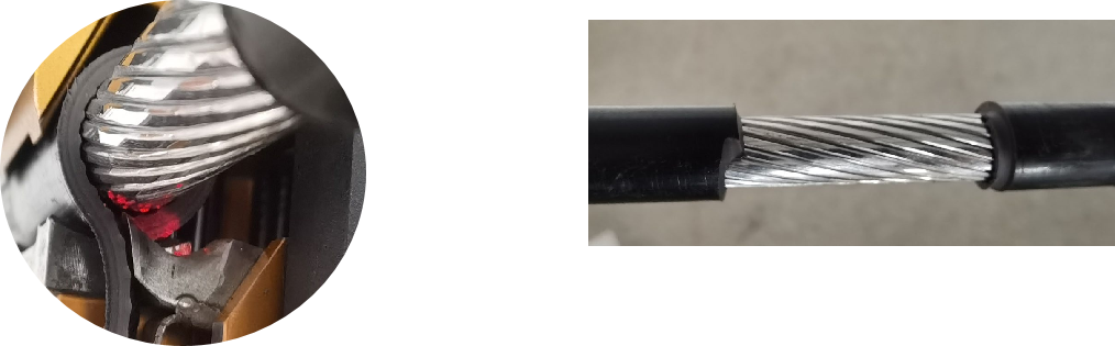 1725849514167979.png image.png